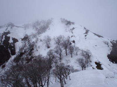 鎌ヶ峰への鞍部よりca1650mを振り返って
