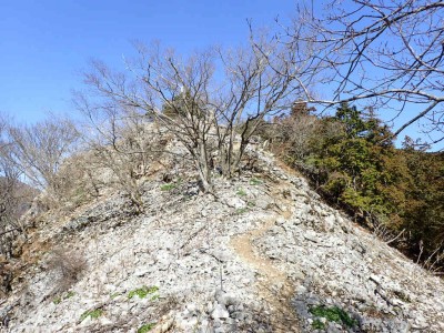 P3110004.jpg (150.35 KiB) 閲覧された回数 8347 回 孫田尾根