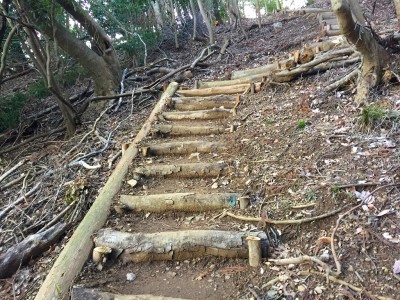 整備された階段