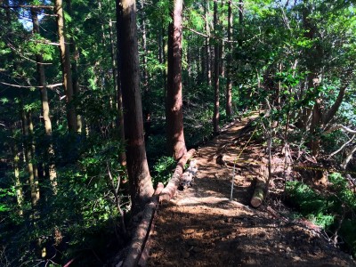 整備された登山道
