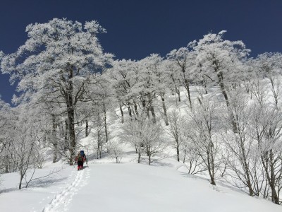 スノー衆2015パート3 木無山