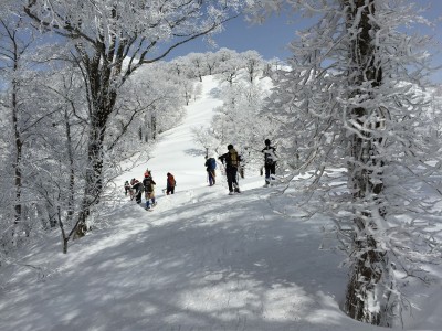 スノー衆2015パート3 木無山