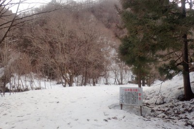 ここは福井県なのになぜか白鳥町の看板が