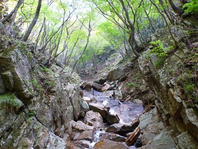 ヒミズ谷のナメ