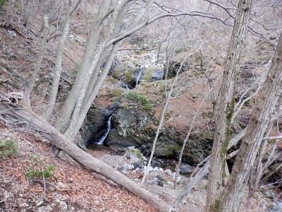 巻きの途中から