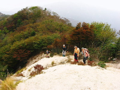 ● 色づいてきたモミジ、三池岳への登りはコブが沢山ある