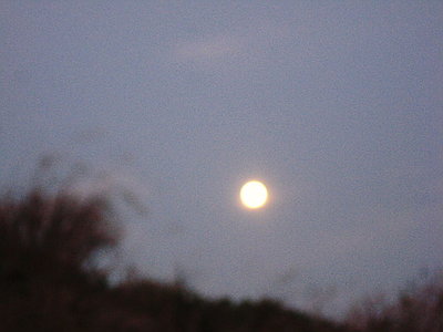 ●　でかい月が昇ってきた、８．９．１０月とお月見だよ