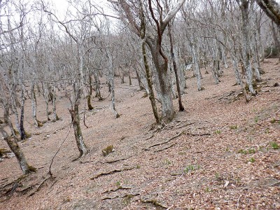 トラバースしたテーブルランドの南斜面