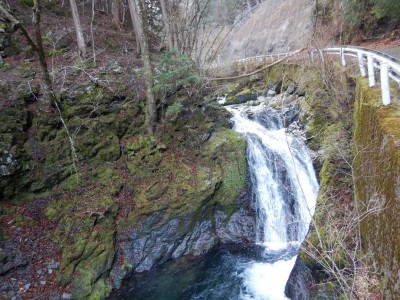 綺麗な川には滝が沢山