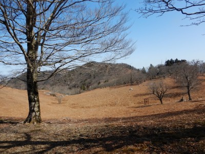 明神平、とても落ち着く場所