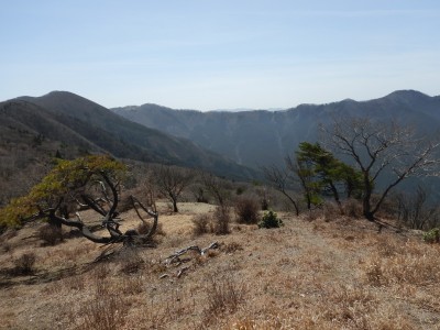 赤ゾレ山でランチタイム