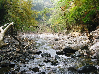 ●　大井谷十字峡、見る影もなく荒れてた