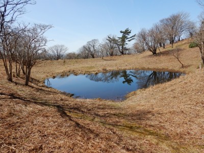 反対から撮った方が良かったかも