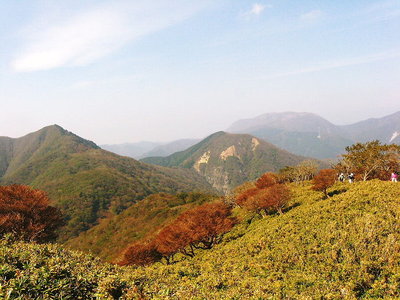 ● 静ケ岳みる牛さんが放牧されてるかのようだ
