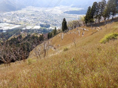 笹の葉を１枚も残さず食べ尽くしていると「自業自得」になるよ。