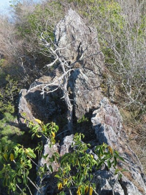 IMG_3151.jpg (222.71 KiB) 閲覧された回数 3013 回 ナイフリッジ