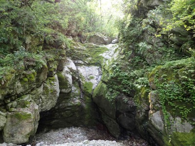 P4210008.jpg (114.74 KiB) 閲覧された回数 2073 回 登る事のできない枯れ滝