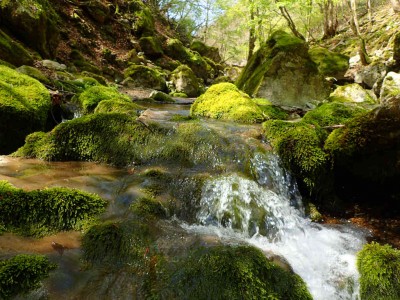 気持ちのいい沢
