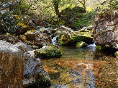 気持ちのいい沢