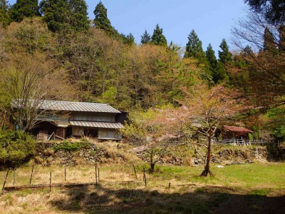 P4210049.jpg (132.56 KiB) 閲覧された回数 2068 回 杉集落