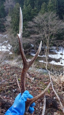 林道沿いで｢通行手形」を記録保存