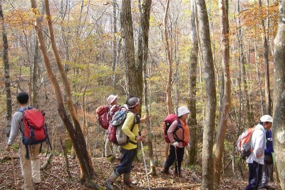 ２００６年１１月４日　緑ちゃん山行・迷岳1
