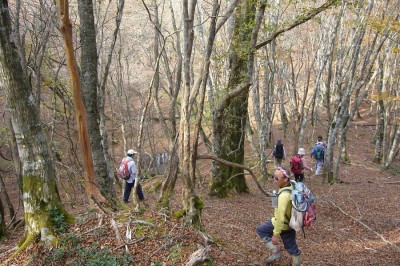 ２００６年１１月４日　緑ちゃん山行・迷岳2