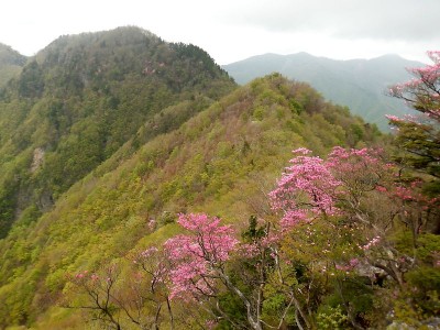 5/8古ヶ丸山から見た八景山