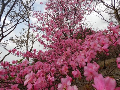 きれい、まんか～い