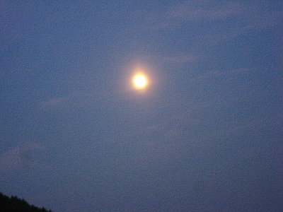 ● 満月は好いなあ