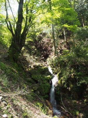 左俣の滝.jpg
