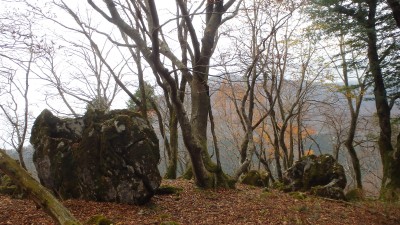 リョウシ山頂付近(2016年11月）