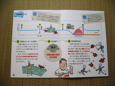 ● 書いてあるとうりだ、ヤッパ過遊は気をつけようです。