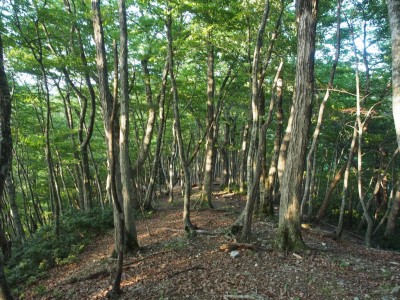 滝谷右岸尾根.jpg
