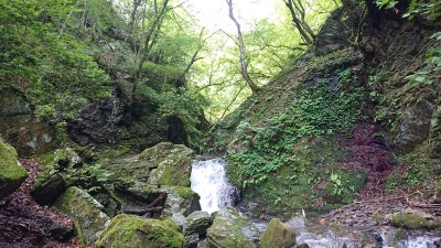 16235909660780 ツボクリ谷１ - コピー.jpg