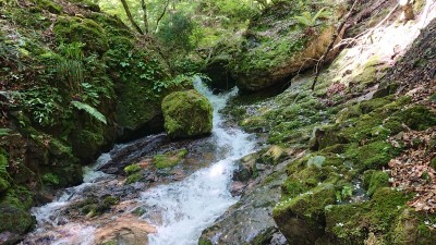 16235911574962 ツボクリ谷 - コピー.jpg