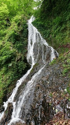 16235916878716 ツボクリ大滝２ - コピー.jpg