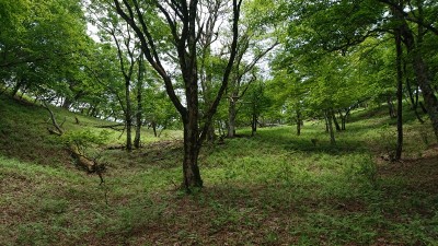 16235912588343 ツボクリ谷源頭 - コピー.jpg