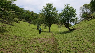 16235914734334 皆子谷源頭 - コピー.jpg