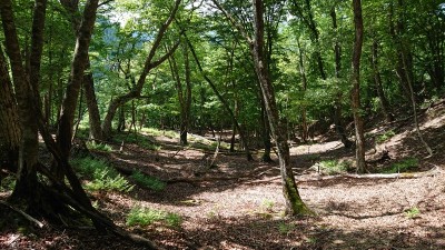 16235915380225 941北尾根 - コピー.jpg