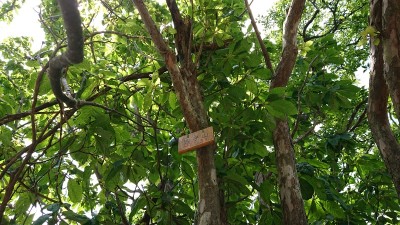 16240165267790 プレート.jpg