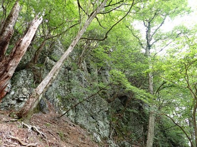 P6120053.JPG (413.95 KiB) 閲覧された回数 2680 回 下山路の嵓