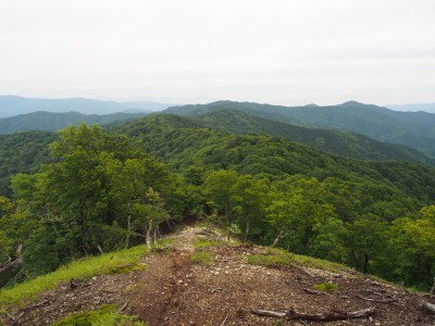 桜谷山.jpg