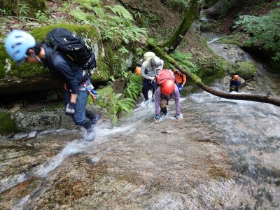 DSCN4329.JPG (247.61 KiB) 閲覧された回数 2777 回 滑ったところも不安のない足取り