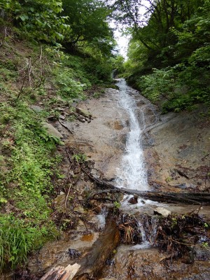 DSCN4370.JPG (277.92 KiB) 閲覧された回数 2779 回 大斜瀑