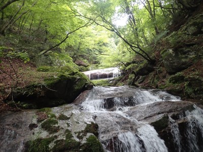 P6200070.JPG (246.08 KiB) 閲覧された回数 2777 回 美しい重ね布団滝