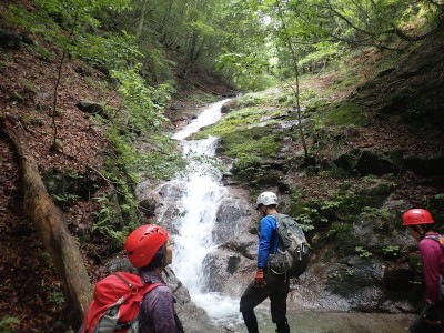 P6200080.JPG (259.6 KiB) 閲覧された回数 2779 回 流芯が誘う