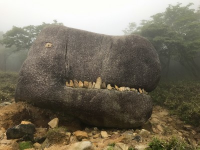 IMG_3490.jpg (673.49 KiB) 閲覧された回数 2889 回 ゴジラ(?)