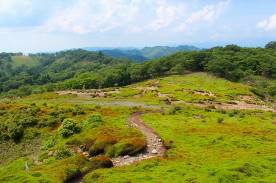 IMG_4785.jpg (691.7 KiB) 閲覧された回数 2889 回 苔の絨毯