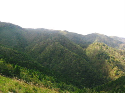 ● この尾根谷、みんな歩いたんだろうな